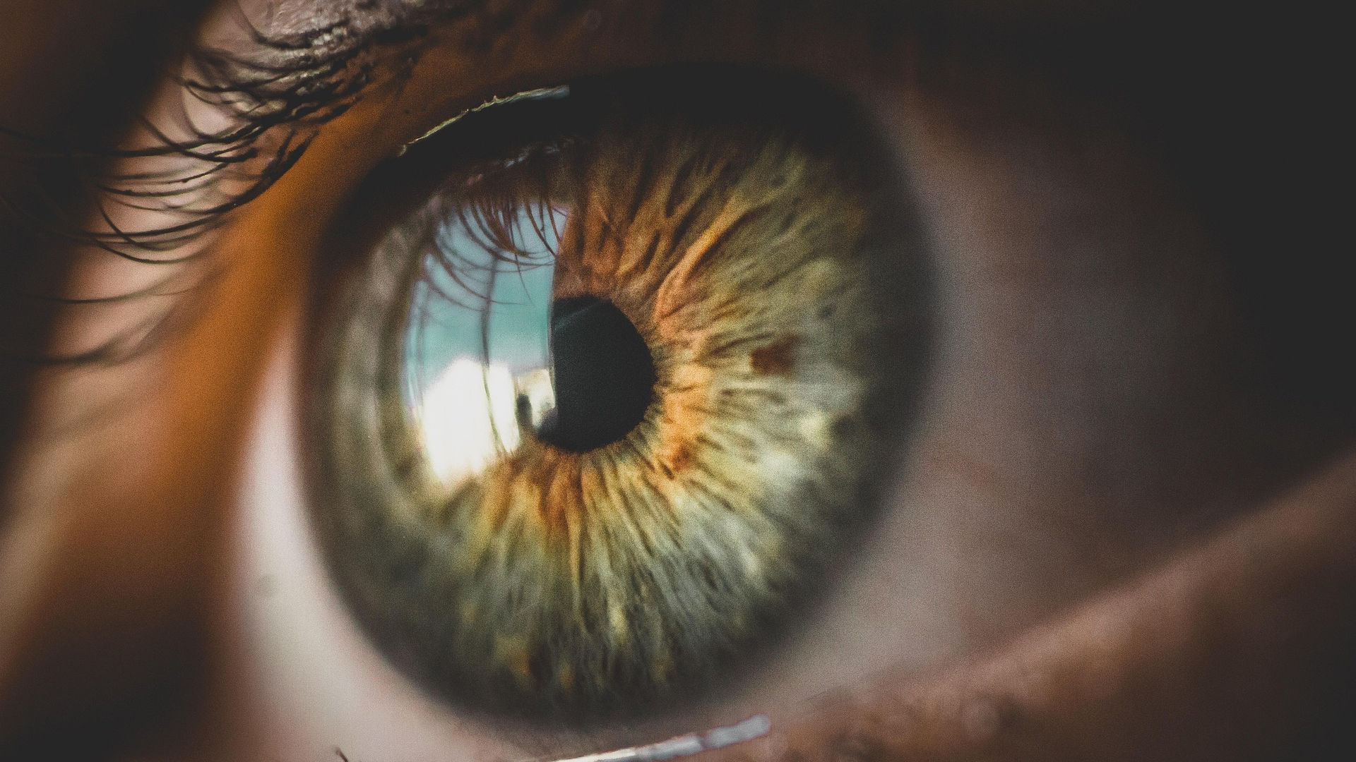 Woman's eye