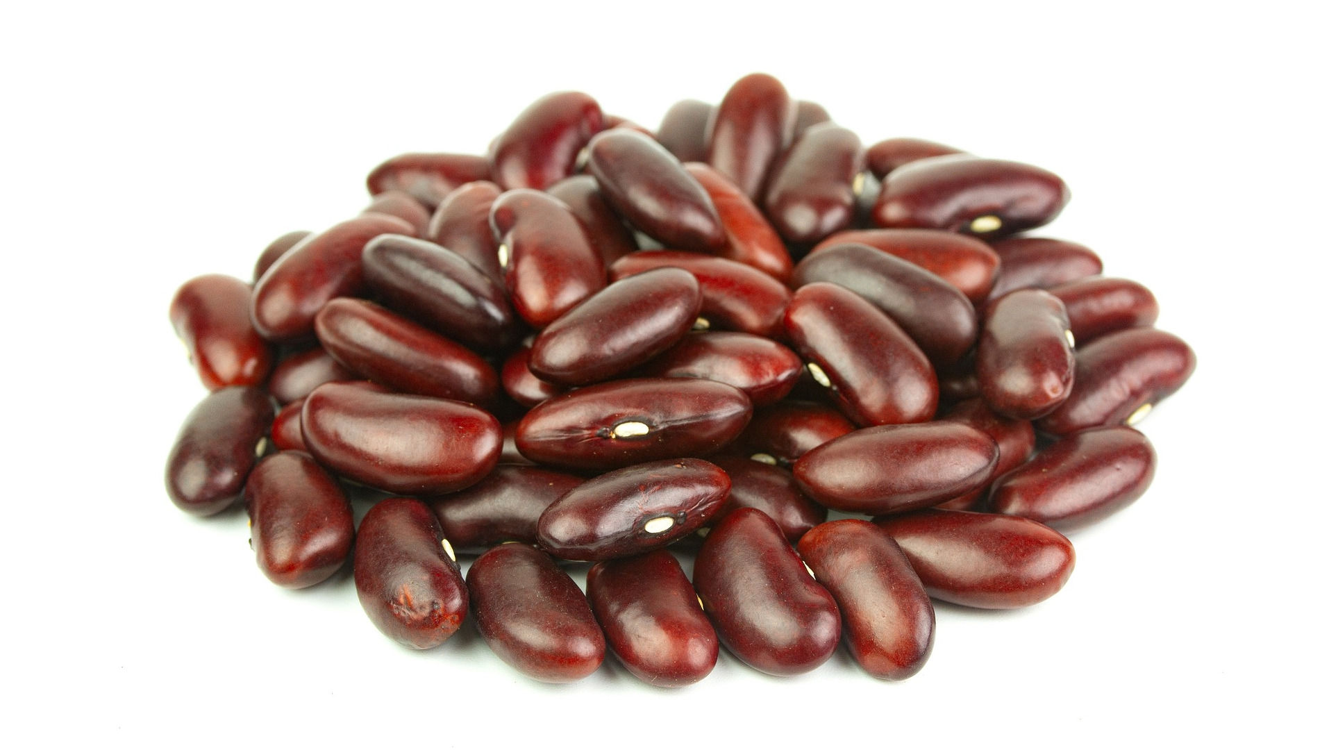 Kidney beans representing kidneys