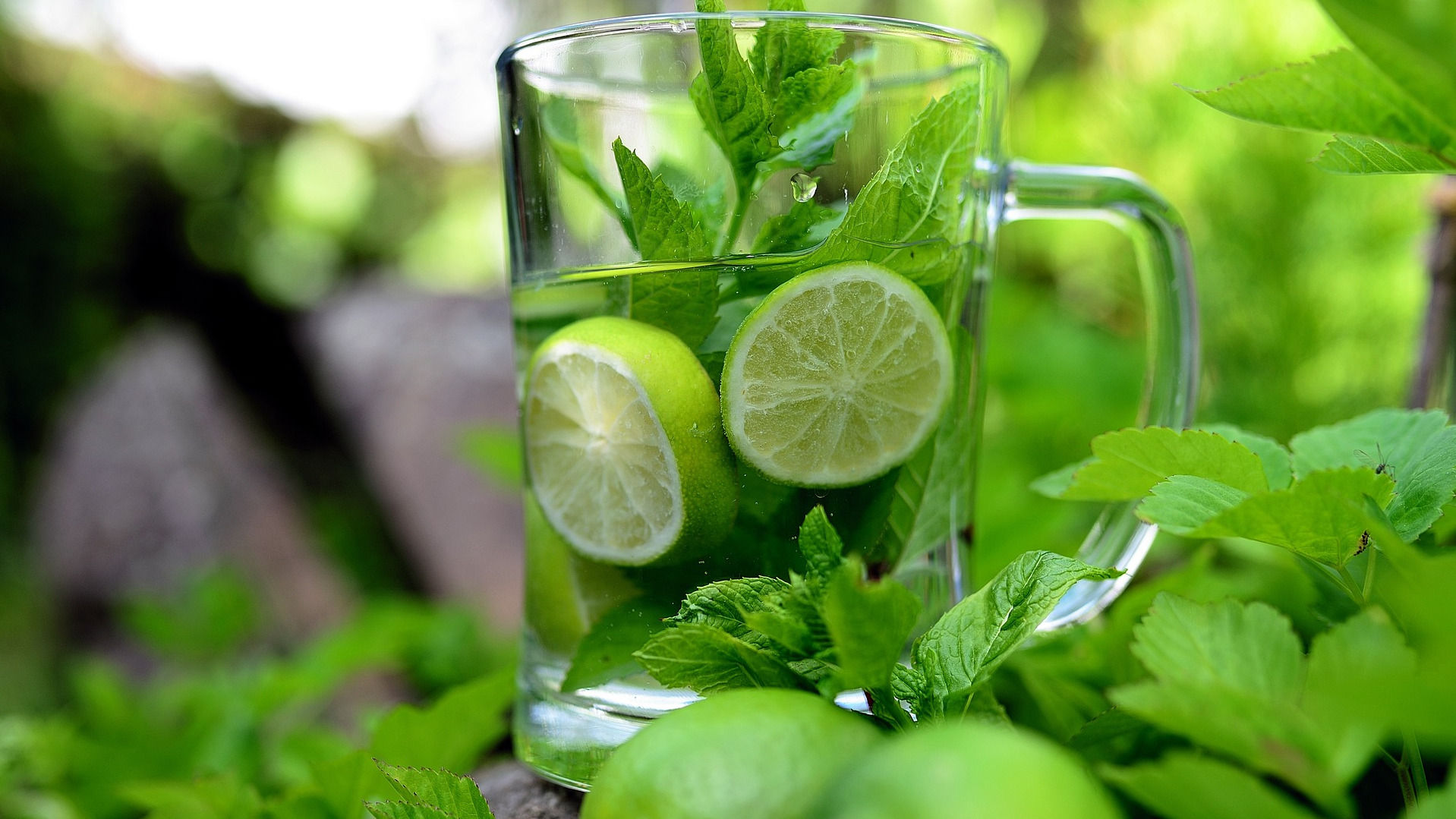 Pitcher of Mint Infused Water